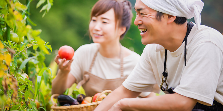 堆肥販売について